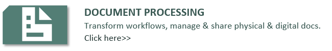 Document processing audit